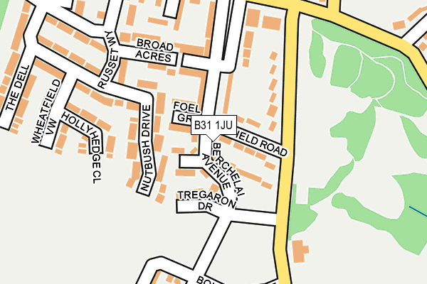 B31 1JU map - OS OpenMap – Local (Ordnance Survey)