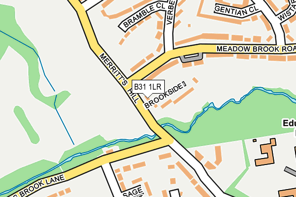 B31 1LR map - OS OpenMap – Local (Ordnance Survey)