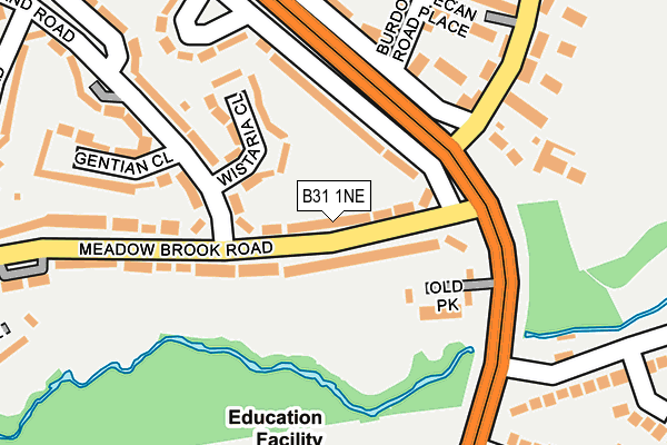 B31 1NE map - OS OpenMap – Local (Ordnance Survey)