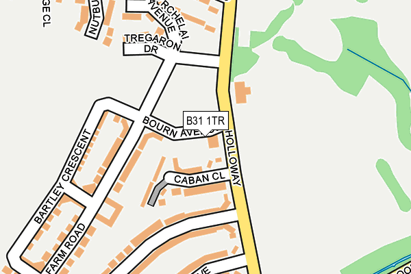 B31 1TR map - OS OpenMap – Local (Ordnance Survey)