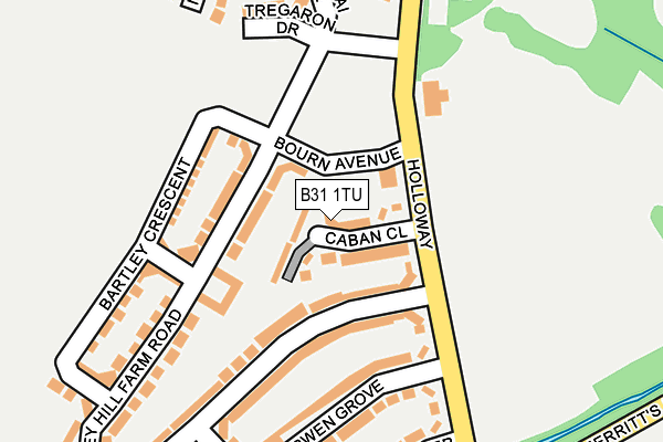 B31 1TU map - OS OpenMap – Local (Ordnance Survey)
