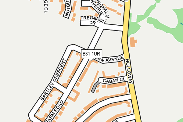 B31 1UR map - OS OpenMap – Local (Ordnance Survey)