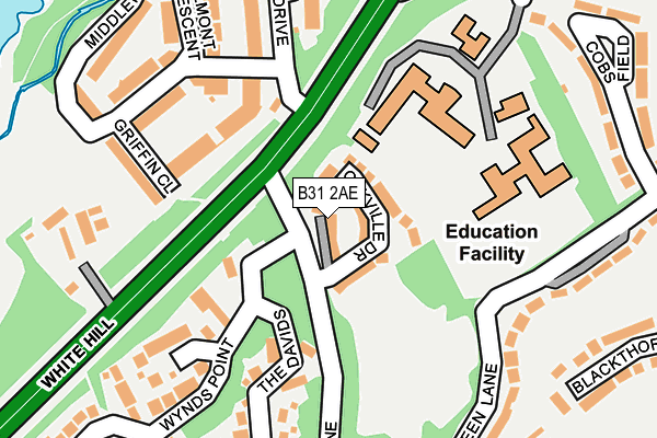 B31 2AE map - OS OpenMap – Local (Ordnance Survey)