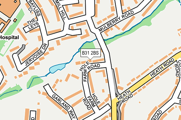 B31 2BS map - OS OpenMap – Local (Ordnance Survey)