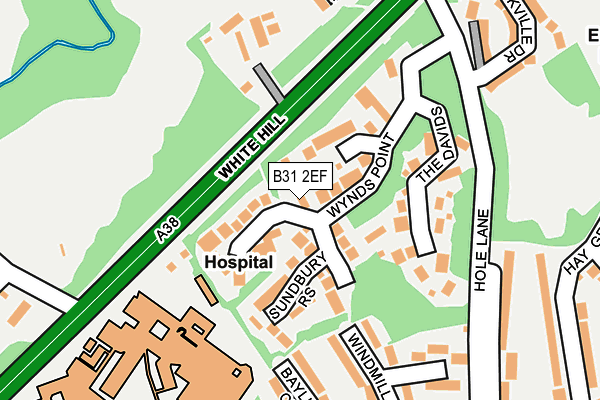 B31 2EF map - OS OpenMap – Local (Ordnance Survey)