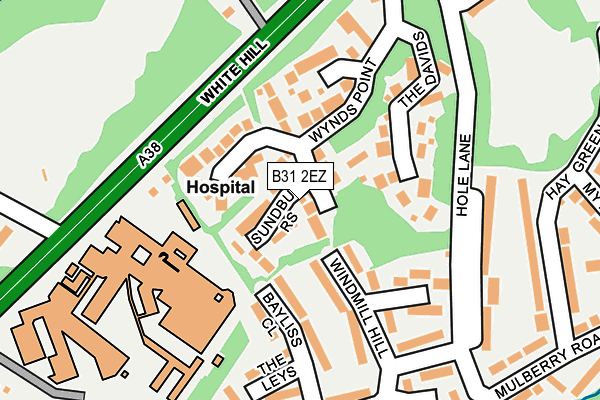 B31 2EZ map - OS OpenMap – Local (Ordnance Survey)