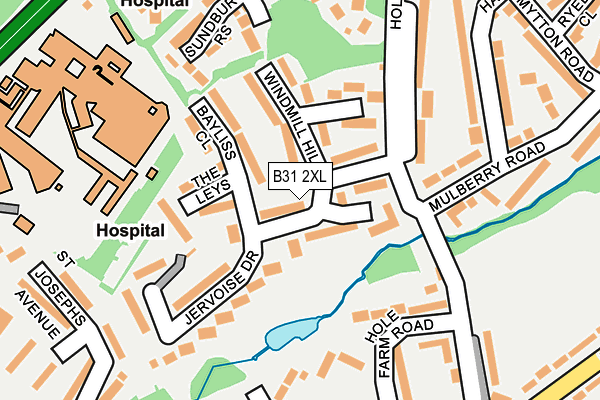 B31 2XL map - OS OpenMap – Local (Ordnance Survey)