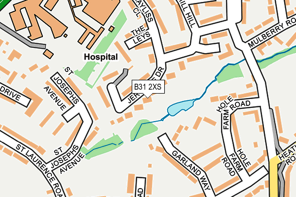 B31 2XS map - OS OpenMap – Local (Ordnance Survey)