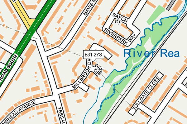 B31 2YS map - OS OpenMap – Local (Ordnance Survey)