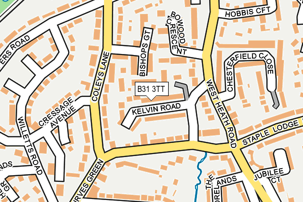 B31 3TT map - OS OpenMap – Local (Ordnance Survey)