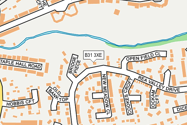 B31 3XE map - OS OpenMap – Local (Ordnance Survey)