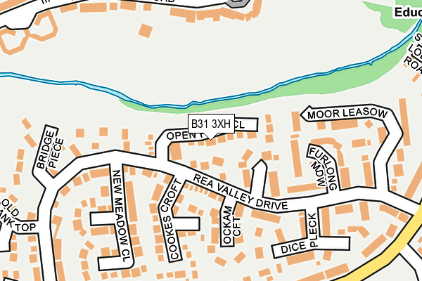 B31 3XH map - OS OpenMap – Local (Ordnance Survey)