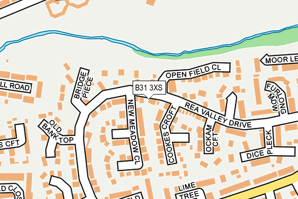 B31 3XS map - OS OpenMap – Local (Ordnance Survey)