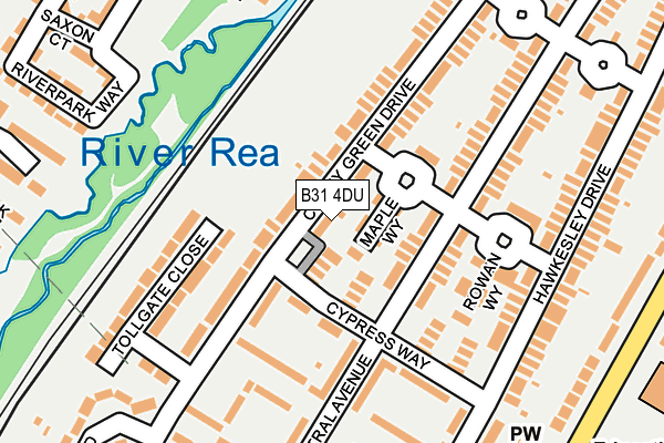 B31 4DU map - OS OpenMap – Local (Ordnance Survey)