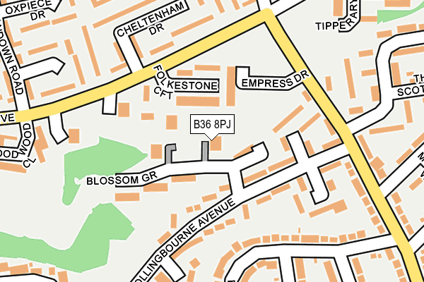 B36 8PJ map - OS OpenMap – Local (Ordnance Survey)
