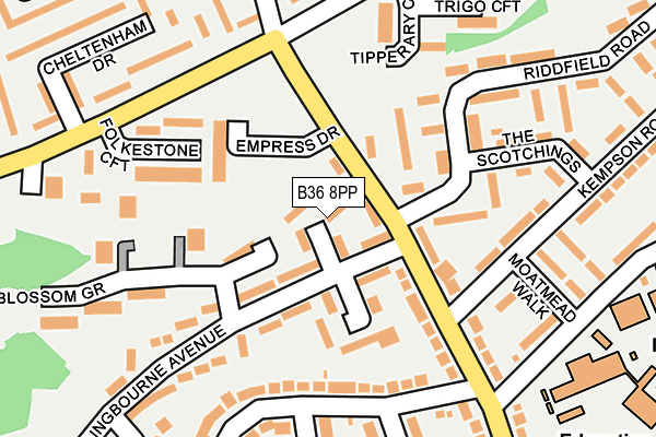 B36 8PP map - OS OpenMap – Local (Ordnance Survey)