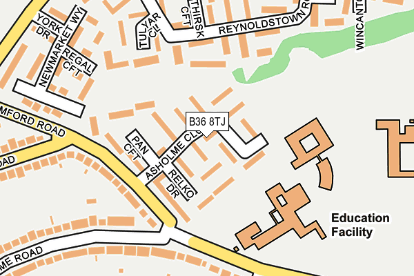 B36 8TJ map - OS OpenMap – Local (Ordnance Survey)