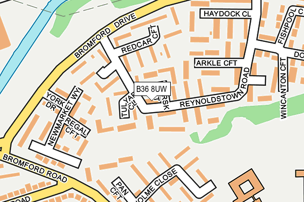 B36 8UW map - OS OpenMap – Local (Ordnance Survey)