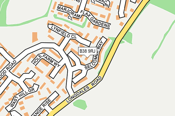 B38 9RJ map - OS OpenMap – Local (Ordnance Survey)