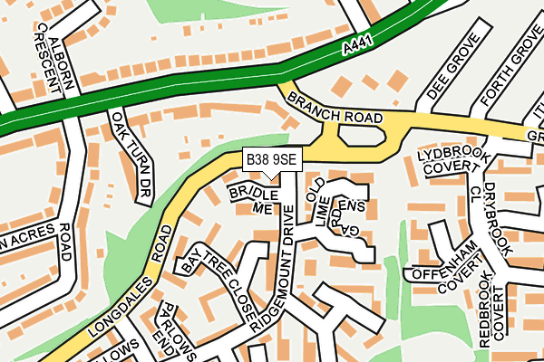 B38 9SE map - OS OpenMap – Local (Ordnance Survey)