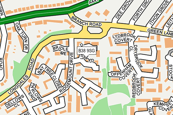 B38 9SG map - OS OpenMap – Local (Ordnance Survey)