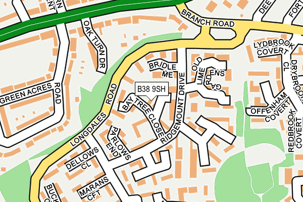 B38 9SH map - OS OpenMap – Local (Ordnance Survey)