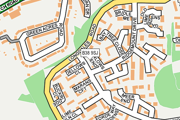 B38 9SJ map - OS OpenMap – Local (Ordnance Survey)