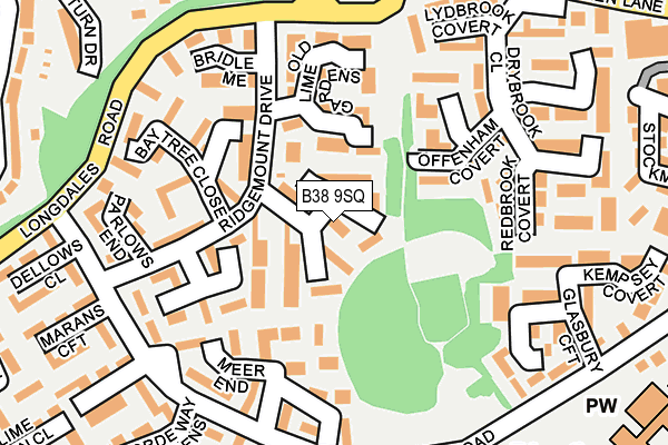 B38 9SQ map - OS OpenMap – Local (Ordnance Survey)