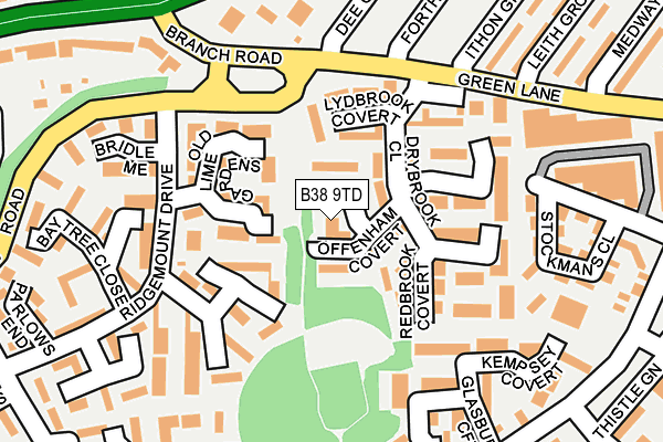 B38 9TD map - OS OpenMap – Local (Ordnance Survey)