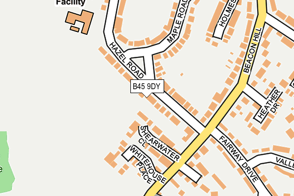 B45 9DY map - OS OpenMap – Local (Ordnance Survey)