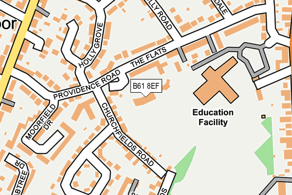 B61 8EF map - OS OpenMap – Local (Ordnance Survey)