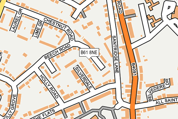 B61 8NE map - OS OpenMap – Local (Ordnance Survey)