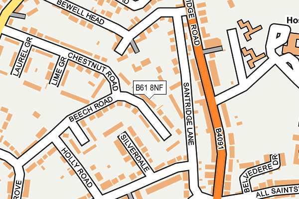 B61 8NF map - OS OpenMap – Local (Ordnance Survey)