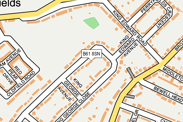 B61 8SN map - OS OpenMap – Local (Ordnance Survey)