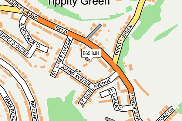 B65 8JH map - OS OpenMap – Local (Ordnance Survey)