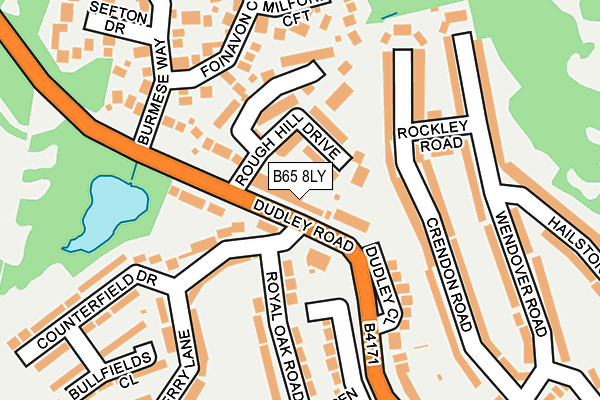 B65 8LY map - OS OpenMap – Local (Ordnance Survey)