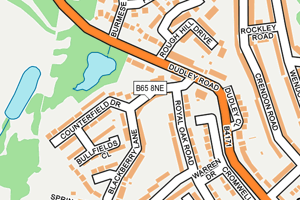 B65 8NE map - OS OpenMap – Local (Ordnance Survey)