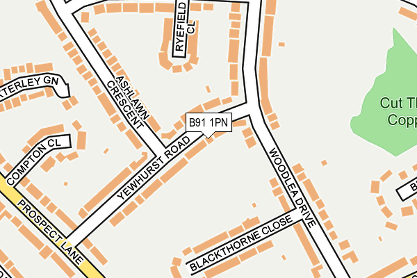 B91 1PN map - OS OpenMap – Local (Ordnance Survey)