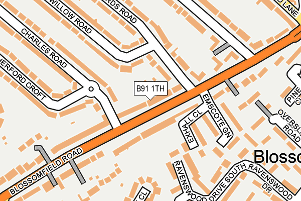 B91 1TH map - OS OpenMap – Local (Ordnance Survey)