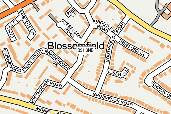 B91 3NB map - OS OpenMap – Local (Ordnance Survey)