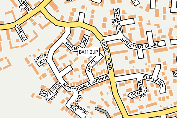 BA11 2UP map - OS OpenMap – Local (Ordnance Survey)