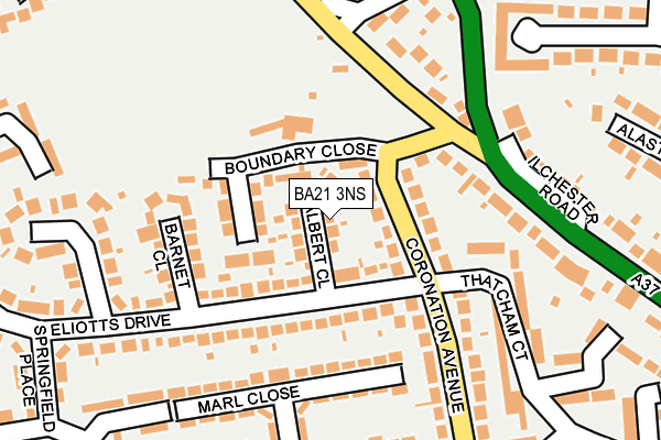 BA21 3NS map - OS OpenMap – Local (Ordnance Survey)