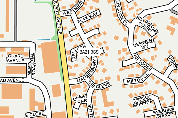 BA21 3SS map - OS OpenMap – Local (Ordnance Survey)