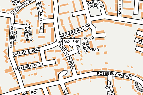 BA21 5NS map - OS OpenMap – Local (Ordnance Survey)