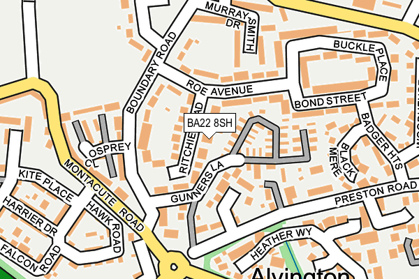 BA22 8SH map - OS OpenMap – Local (Ordnance Survey)