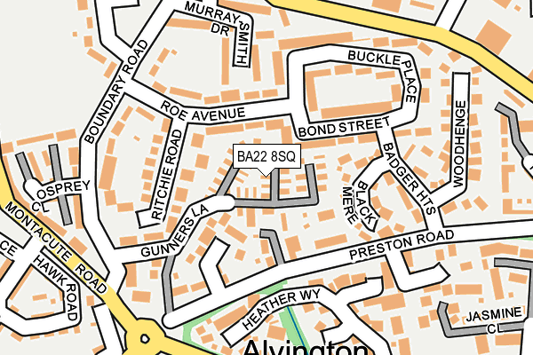 BA22 8SQ map - OS OpenMap – Local (Ordnance Survey)