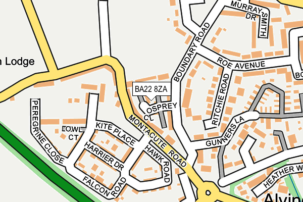 BA22 8ZA map - OS OpenMap – Local (Ordnance Survey)