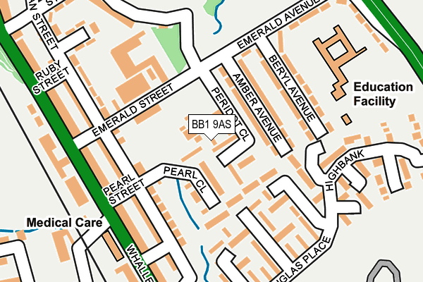 BB1 9AS map - OS OpenMap – Local (Ordnance Survey)