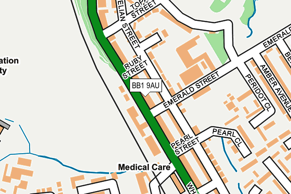 BB1 9AU map - OS OpenMap – Local (Ordnance Survey)