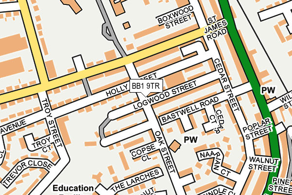 BB1 9TR map - OS OpenMap – Local (Ordnance Survey)